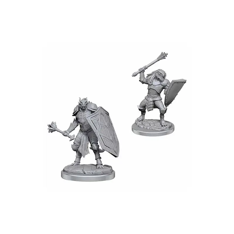 90522 Dragonborn Clerics W18