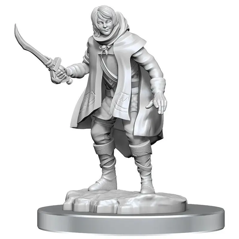 Dungeons & Dragons Nolzurs Marvelous Miniatures: Elf Rogue & Half-Elf Protg