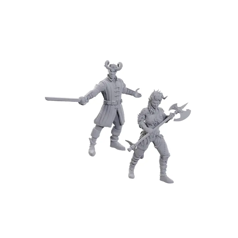 D&D Nolzur`s Marvelous Minis: Special Edition Baldur`s Gate 3 - Wyll & Karlach