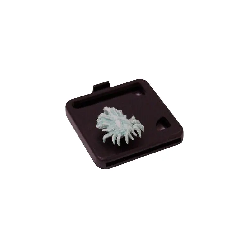 Arkham Horror Monster Miniature: Shan