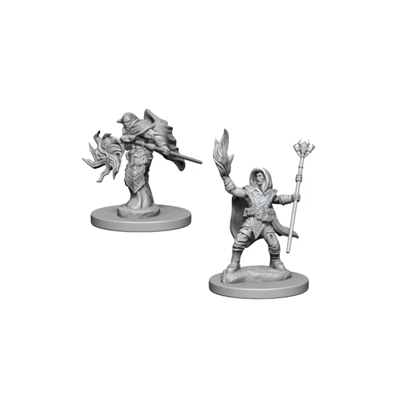 D&D Miniatures - Elf Male Wizard