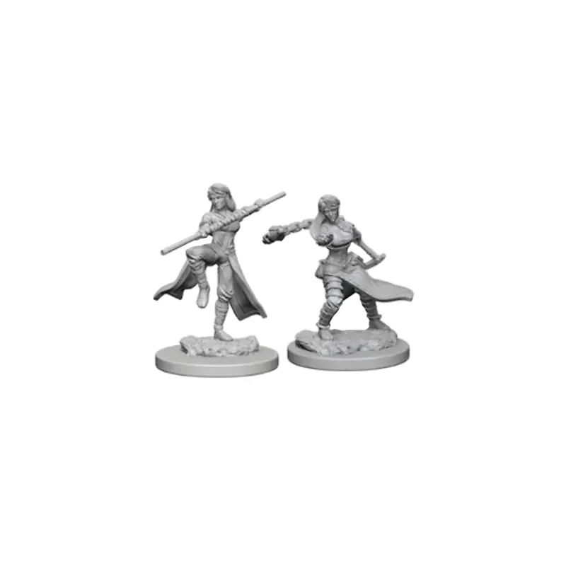 D&D Miniatures - Female Human Monk