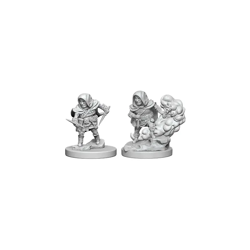D&D Miniatures - Halfling Male Rogue