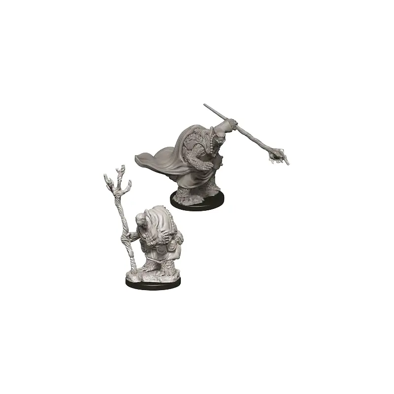 D&D Miniatures - Tortle Adventurers