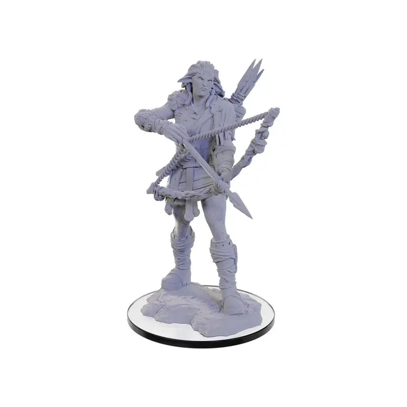 D&D Nolzurs Marvelous Miniatures: Wood Giant