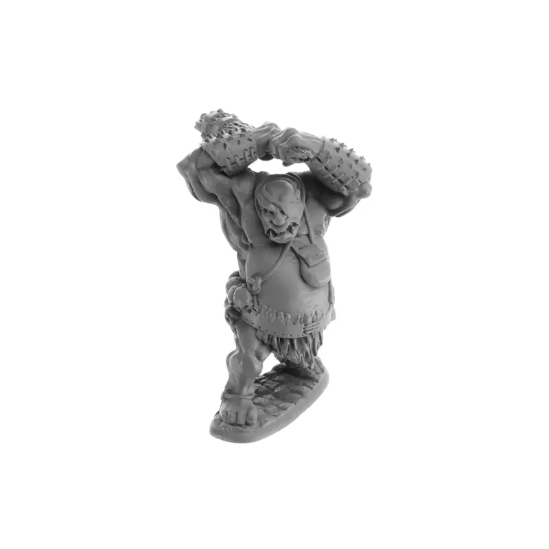 Dungeon Dwellers Bones: Ogre Smasher