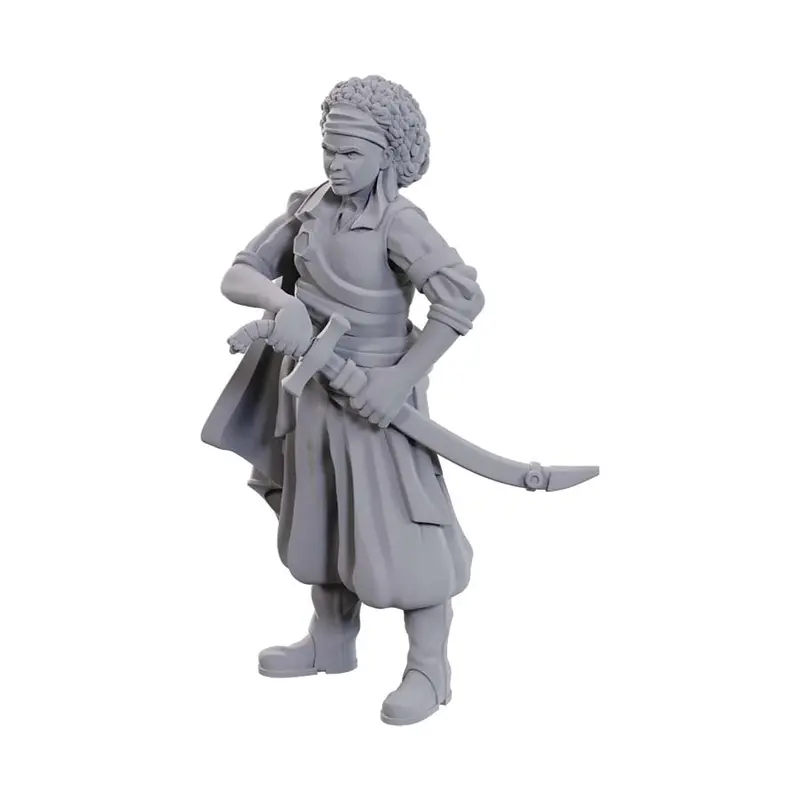 D&D Nolzur's Marvelous Miniatures: Ansalon Human Rogue