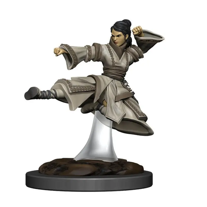 D&D Painted Premium Female Human Monk (93044)