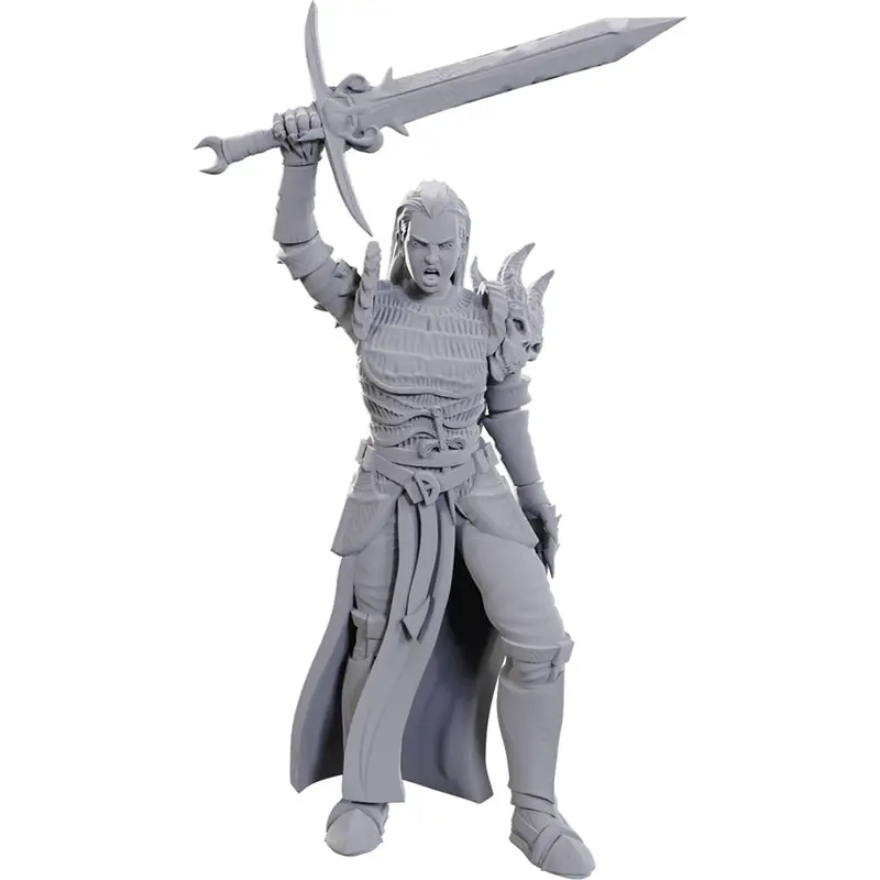 D&D Nolzur's Marvelous Miniatures: Blackguard