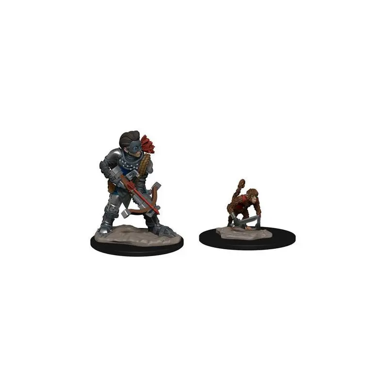 WizKids Wardlings: Boy Rogue & Monkey
