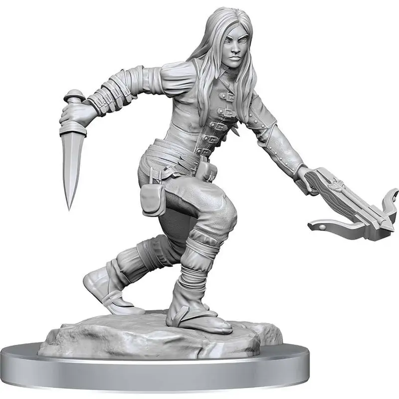 Wizkids Dungeons & Dragons Nolzurs Marvelous Miniatures Female Half-Elf Rogue (90485)